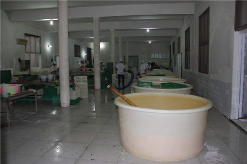 【沙坪壩區(qū)蜜餞腌制桶生產(chǎn)廠家】- 