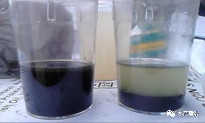 快速分解底泥,降氨氮 亞鹽,這種超高活性礦物質產品到底什么來頭